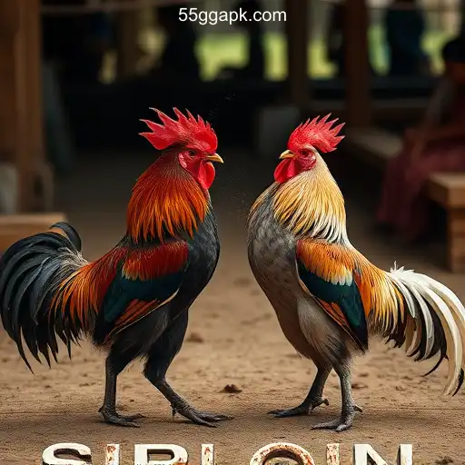 Security and Trust 55GG - A Plataforma Mais Respeitável -55GG.Com - International Licenses and Certifications